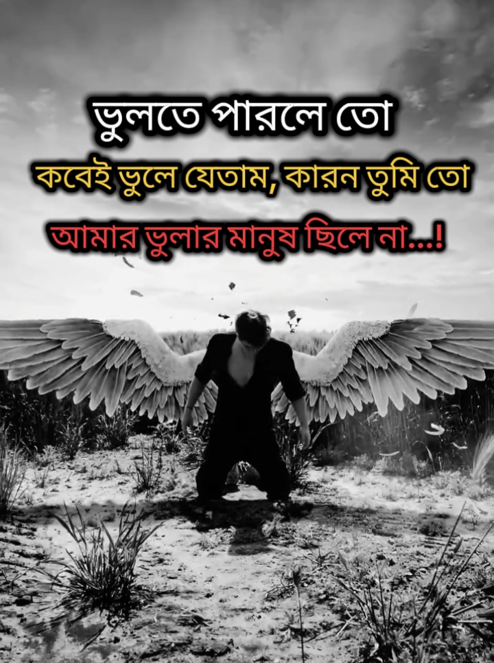 ভুলতে পারলে তো  কবেই ভুলে যেতাম, কারন তুমি তো  আমার ভুলার মানুষ ছিলে না...! #foryou #foryoupage #fyp #vairal 