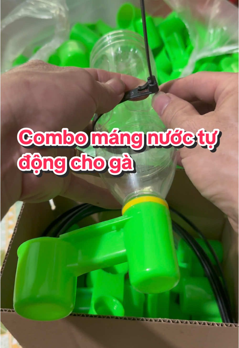 Combo máng nước tự động vặn nút chai và dây rút có lẫy mở tái sử dụng cho gà uống nước . #cuutrochienke #gà #phukiengachoi #mangnuoctudong 