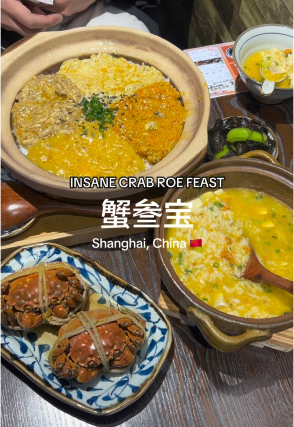 this meal HEALED MY SOUL after a day of exploring Shanghai in the cold 🇨🇳❄️ highly highly recommend ordering the crab roe with fish paofan & the crab claypot rice!!! 🥹👍🏼🌟 #sgtiktok #china #chinatravel #travellinginchina #chinatiktok #shanghai #shanghaispecial #shanghaichina #shanghaitok #shanghaifoodguide #foodinshanghai #traveltiktok #travel #travellife #traveltok #travelbucketlist #travelvlog #sgfoodie #foodtiktok #foodguide #foodreview #FoodTok #winter #sgfyp #fyp