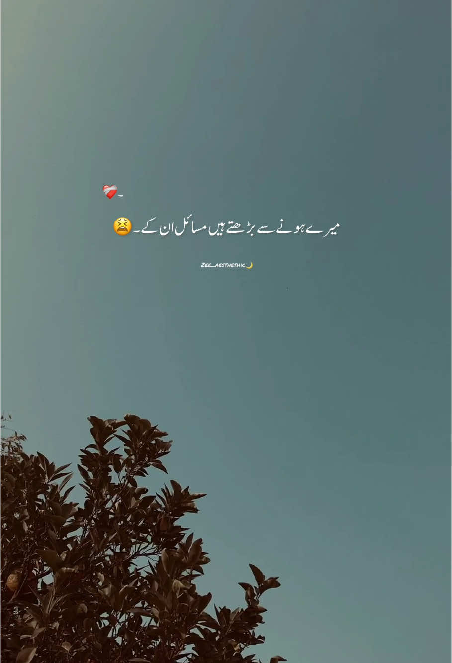 Haye❤️‍🩹🥹#urdupoetry #newvideo #writer #poietry #sadaesthetic #viral_video @🌙عاصم رائیٹر ❤️‍🔥 @HaseeB🪽❤️‍🔥 