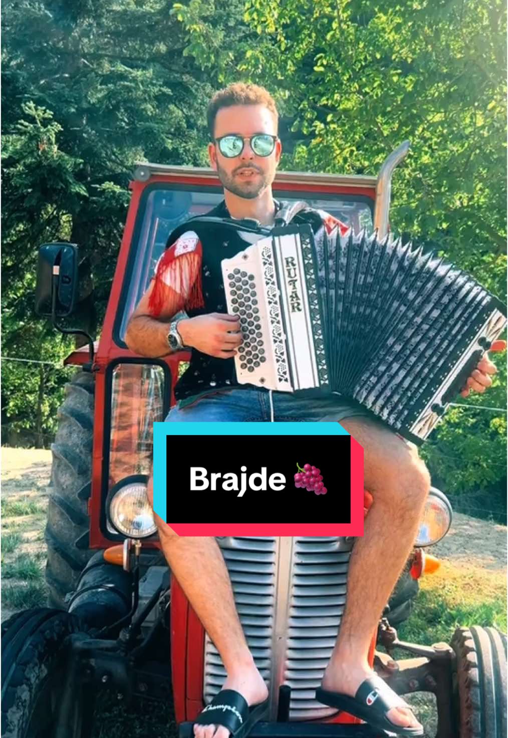 Kmečki rock ‘n’ roll i-a,i-a 🫏🚜 #brajde #limalen #accordion #musiccover #fyp #foreyou #hit2024#summertime #jackfraj #slovenija #hrvaska #spricer 