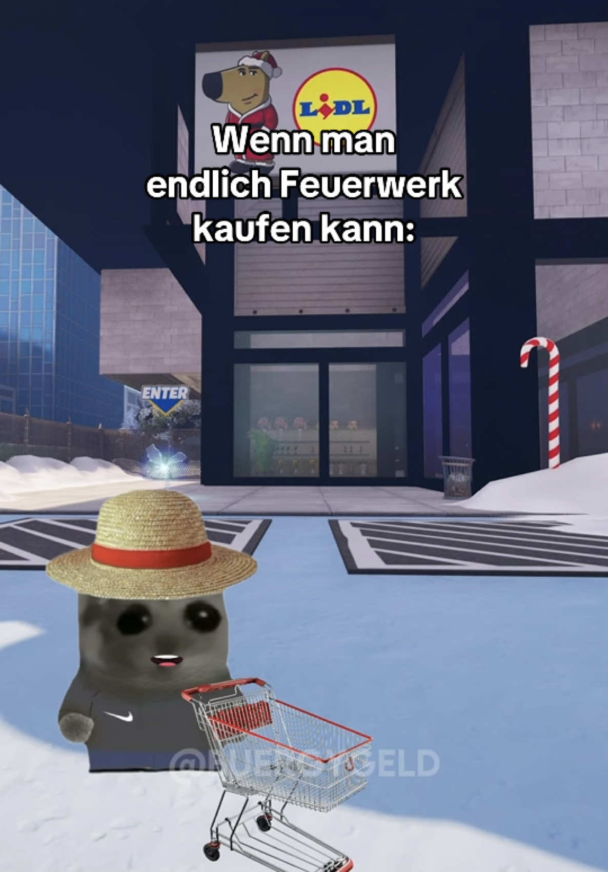 Ich bin bereit für Silvester 🎇 #cutehamster #sadhamster #hamstermeme #feuerwerk #pyrotechnik #silvester #lidl #mois #deutschememes #2danimation #buergygeld #viral #fyp #trendin 