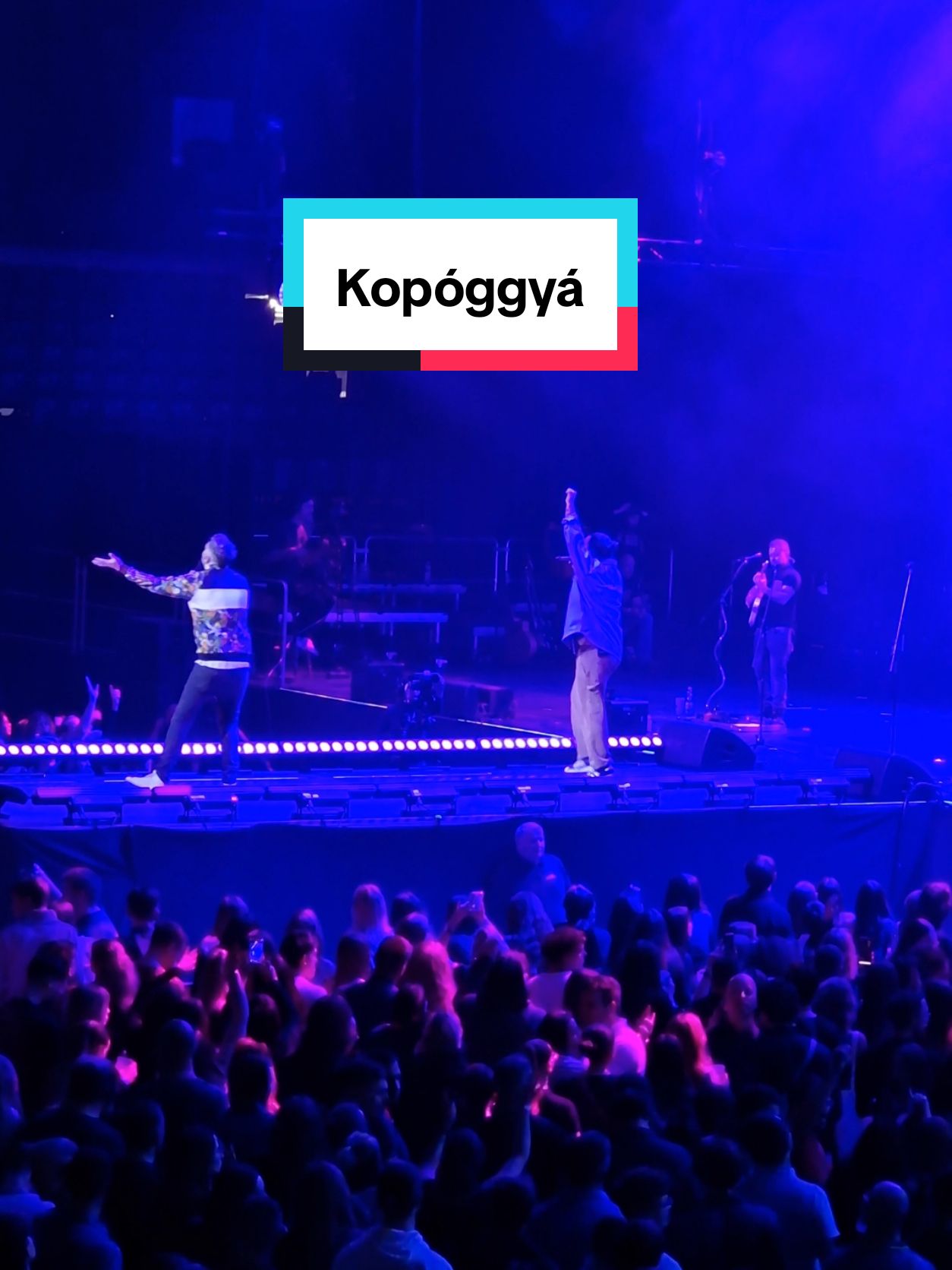 Punnany Massif - Kopóggyá | MVM Dome / WinterFest (2024) #punnanymassif #kopóggyá #budapestpark #mvmdome #winterfest #koncert #music #foryou #2024 #galaxys22ultra @Punnany Massif 