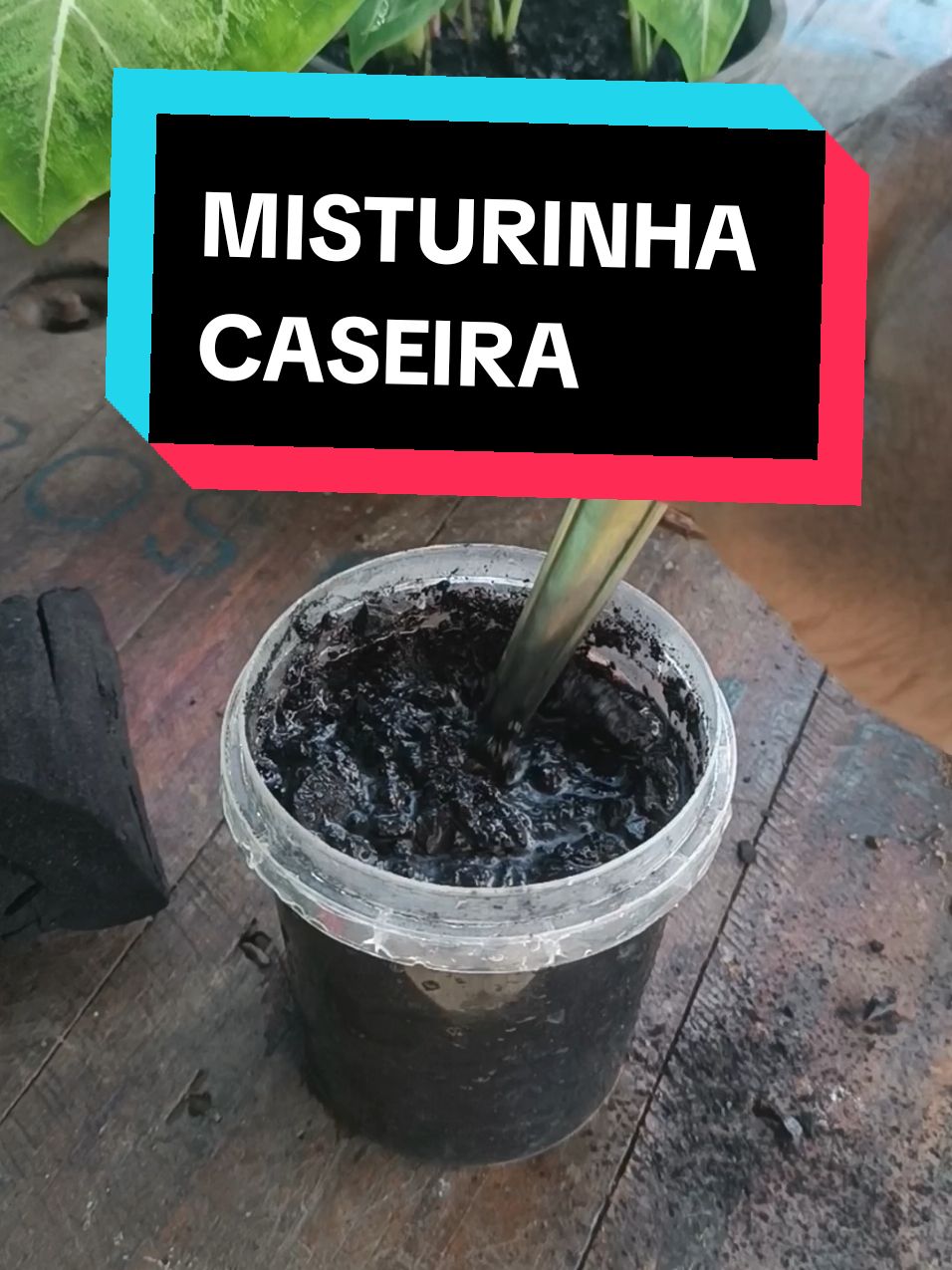 Misturinha caseira para qualquer planta, vem para o passo a passo de como fazer um adubo caseiro para suas plantas ficarem lindas 