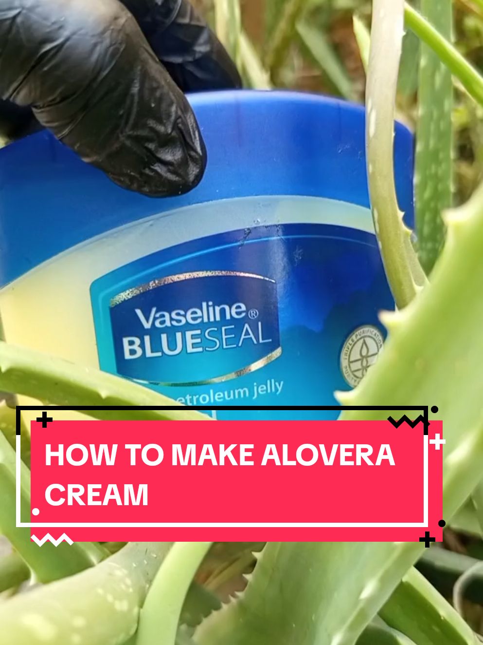 How to make alovera cream with Alovera and vaseline. How to make antiaging cream with Alovera and vaseline. How to make Alovera face cream #skincare #antiaging #antiwrinkle #aloveracream #antiagingcream #facecream #aloveraandvaseline #naturalrecipes #naturalremedy 