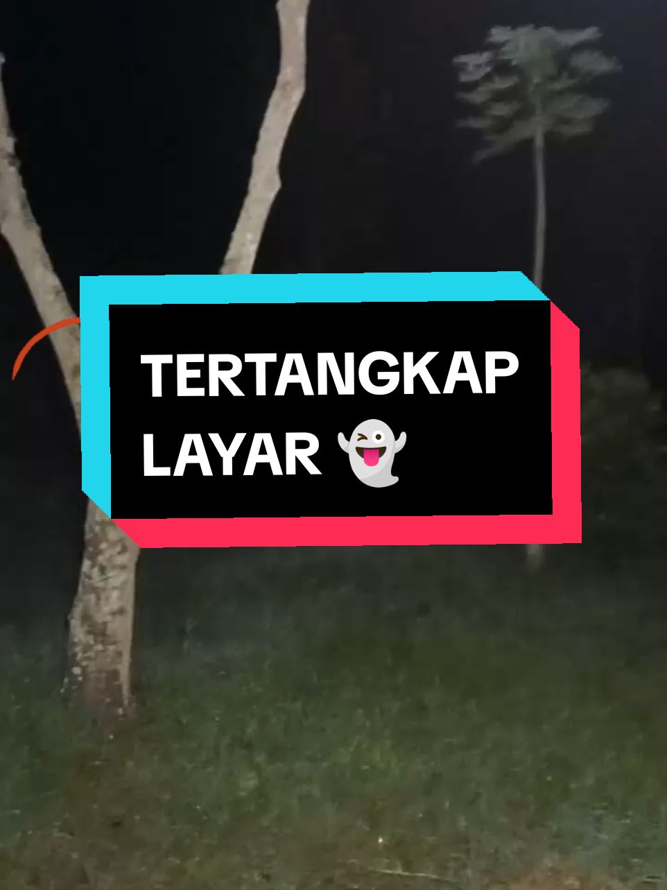 Tertangkap layar sosok kepala buntung di balik pohon #TikTokLIVE  #sejarah  #penampakan  #hantu  #misteri  #explore  #fyp 