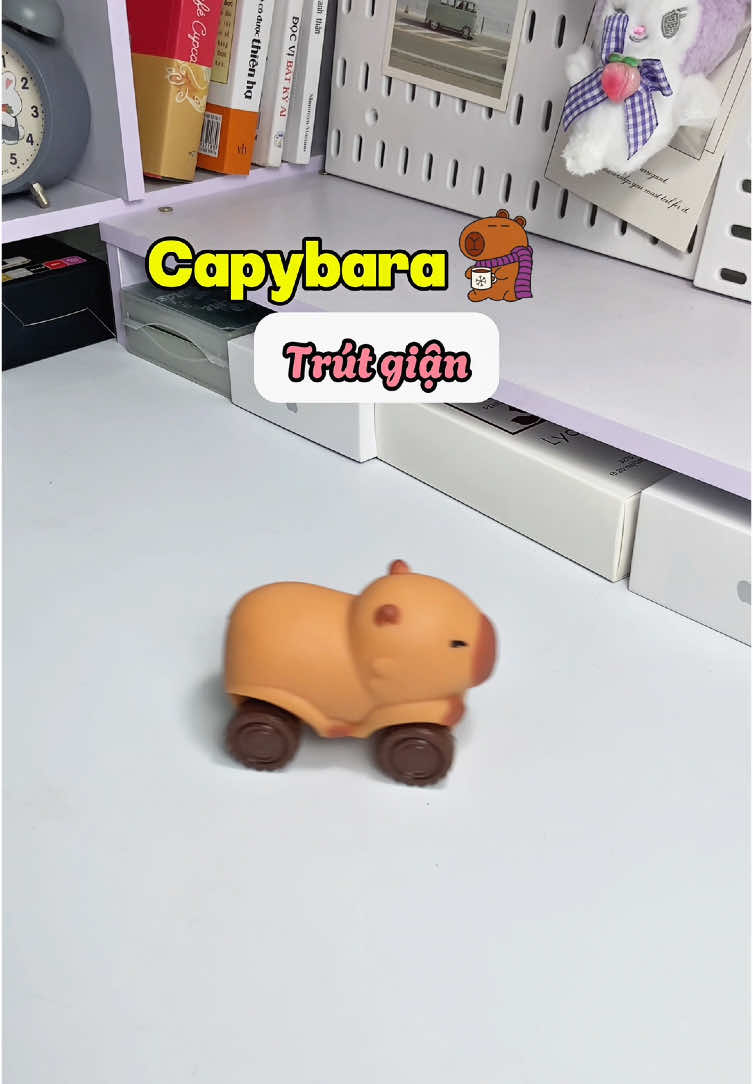 Dễ thương lém, tậu về xả stress ok nè #capybara #capybaramemes #unboxing #capybaratrutgian #bunriviu #xuhuong 