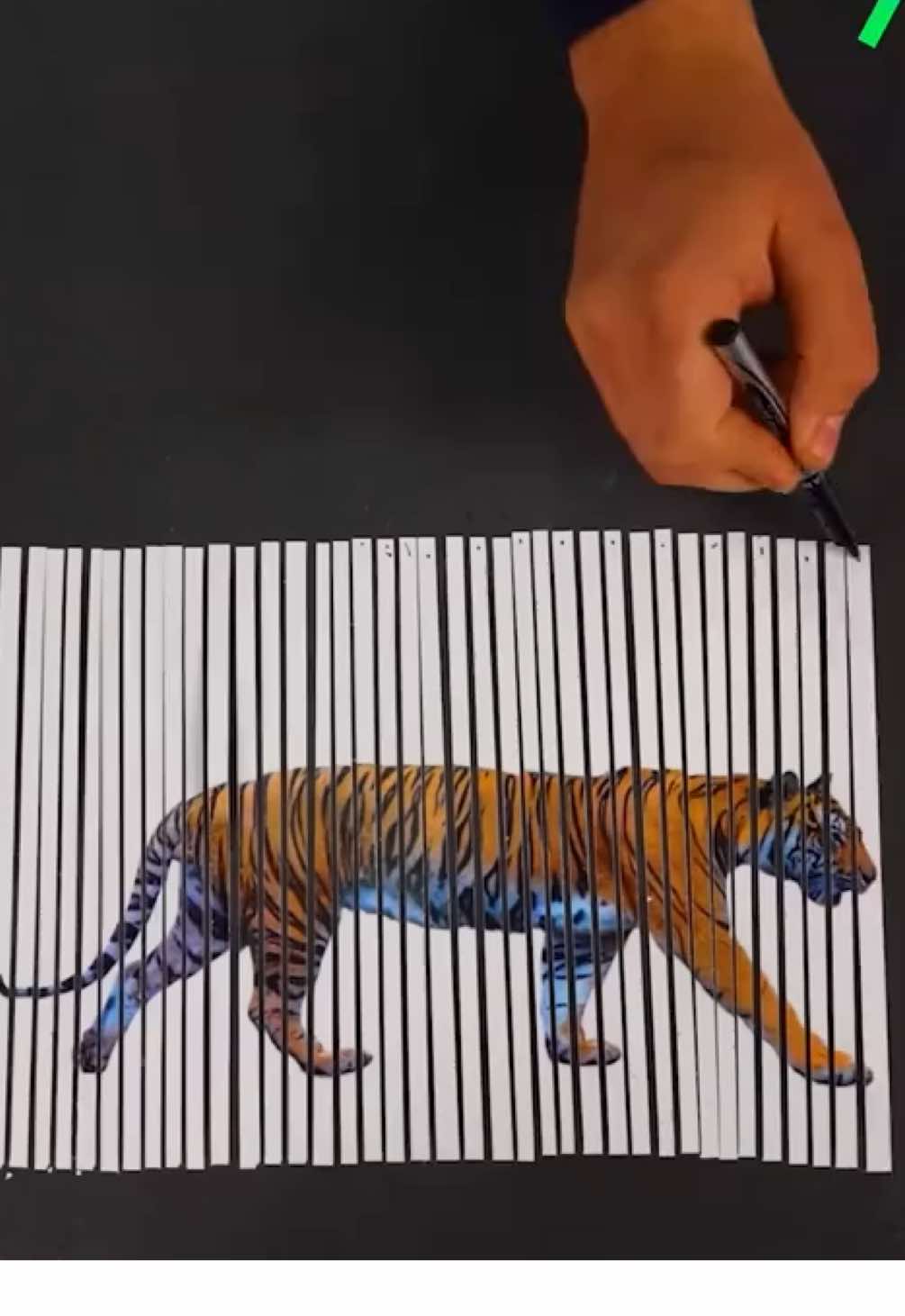 Double Tiger Illusion 🐅  || #crafts #handcraft #art #creative #craft #magic #easycraft #drawing #artist #hack #forypupage #usa