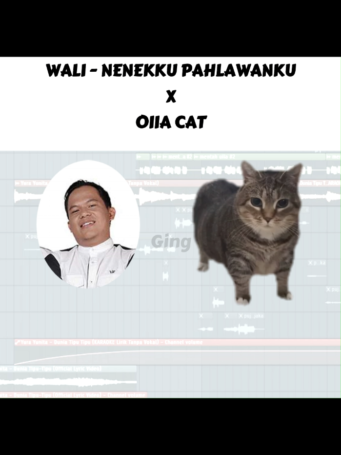 kucingku pahlawanku  #remix #meme #spinningcat #ethel #akmal #oiiaiiooiiai 