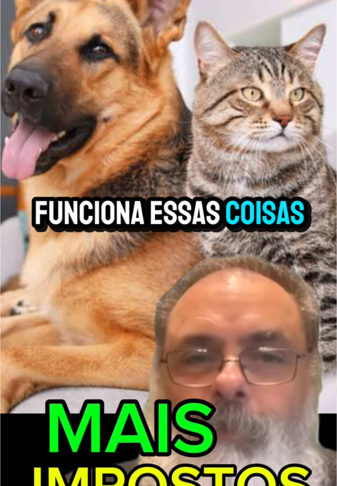 #CapCut #pet #cachorro #gato CACHORRO E GATO VAI PAGAR IMPOSTOS NO BRASIL ? 