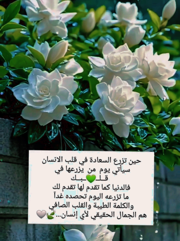 #صباحكم_أحلى_صباح #سلامآ_على_قلوبكم_اينما_كنتم #لقلوبكم_سعادة_لاتنهي😇🌺 #أحبكم_يا_أحلى_متابعين #love_you_all 🫶🥰❤️ #كلام_من_القلب #كلام_من_ذهب 🤎💫 #🥰🥰🥰🥰❤️❤️❤️ #🦋 #❤️ 