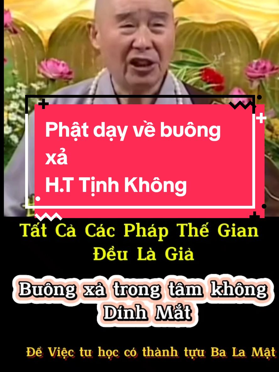 Buông xả không phải buông bỏ tất cả mà là trong tâm không dính mắt.  Tất cả các pháp thế gian đều giả. #buongxa #buongbo #httinhkhong #phapsutinhkhong 