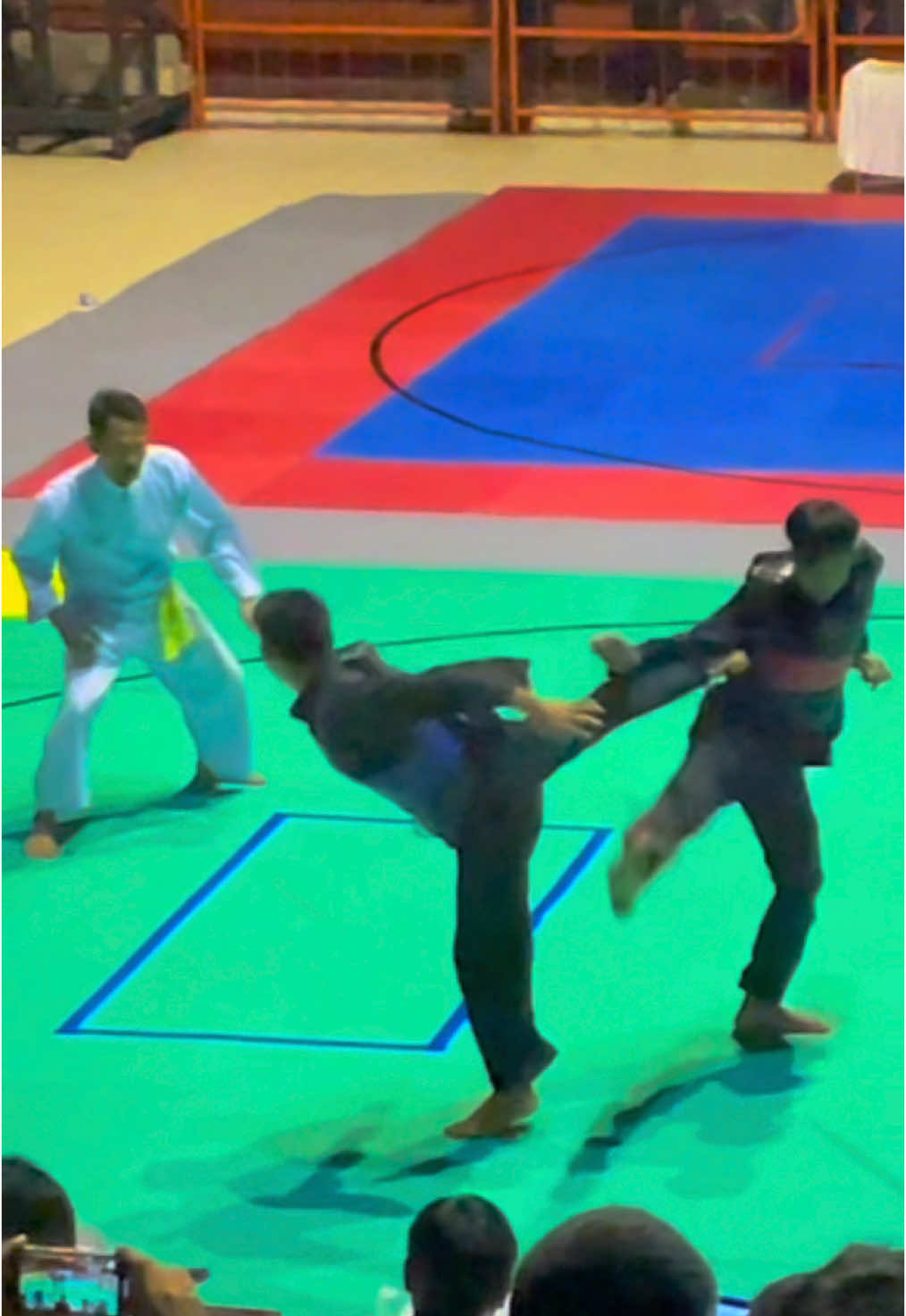 Aksi Tengil 🐒  Final Muria Raya Open 2 2024  #ikspikerasakti_indonesia #ikspi_kerasakti1980 #pencaksilat #fyp #xyzbca #fypシ 