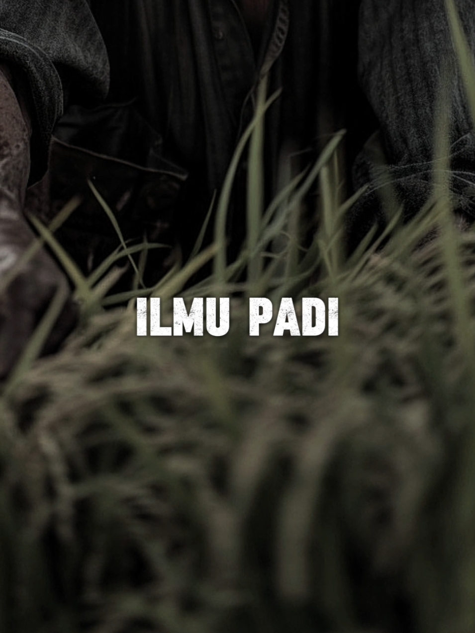 ILMU PADI 