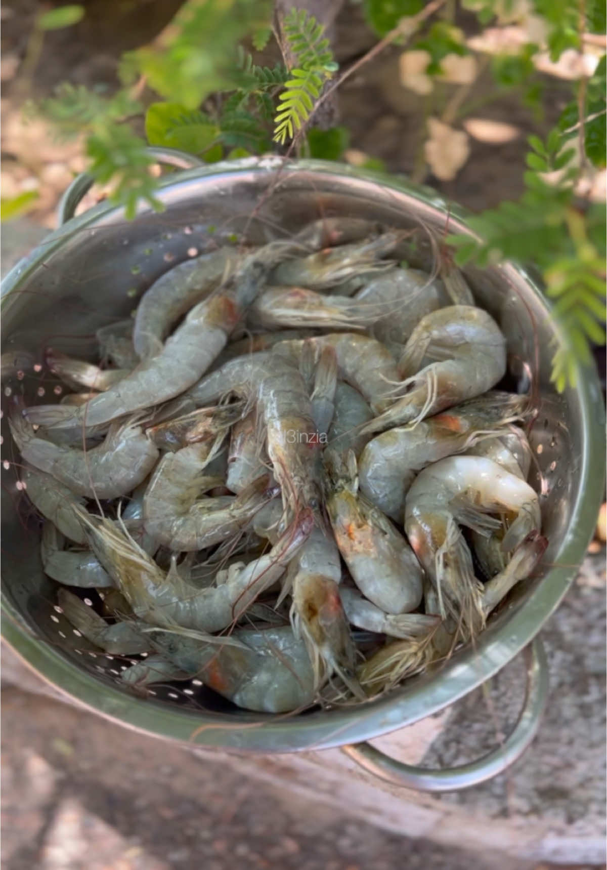 برياني روبيان 🦐  الطريقة  حمس البصل  نضيف الثوم ثم الروبيان على نار عاليه  اضافة البهار ( فلفل اسود -كركم - كمون - لومي يابس - فلفل 🌶️) اضافة معجون طماطم + نص كوب ماء ونتركهم يتسبكون مع بعض ثم نضيف الليمون + البقدونس  نسلق الارز نص سلقه  نحط جزء من خليط الروبيان ثم الأزر  واخر شي نضيف زبده + منقوع الزعفران + ربع كوب ماء  نغطيها بالقصدير ونتركه 15 دقيقه على نار هاديه  وعليكم بالعافيه 💕 . . #برياني #برياني_ربيان #روبيان #بحري #بحر #مأكولات #طبخ #تصوير #تصويري📷 #مطبخ #al3inzia #explore #eat #fish #قبل_بعد #الامارات #الشارقه #السعودية #الكويت #مطبق #طبخات_سريعة 