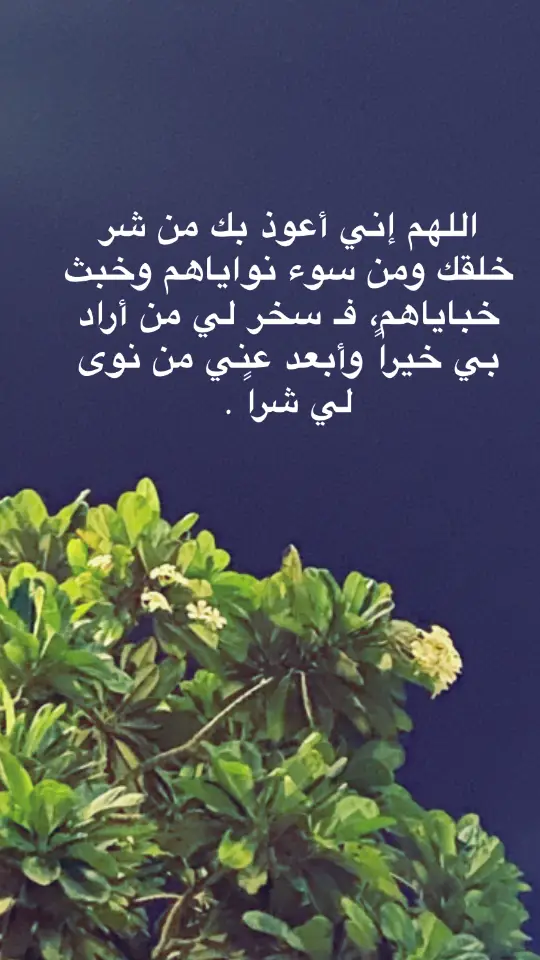 #دعاء #اذكار #اكسلبورررررر #سبحان_الله_وبحمده 🤲🤍🌷