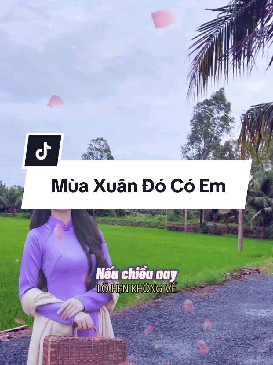 Nếu chiều nay lỡ hẹn không về...Thì xuân năm nay xuân sẽ buồn....#bolero #nhachaymoingay #capcut 