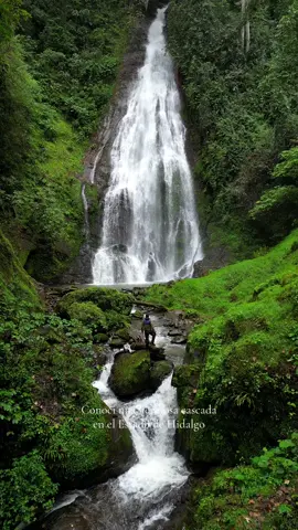 Conocí una increíble cascada oculta en los bosques del Pueblo Mágico de Acaxochitlan en el Estado de Hidalgo, en donde la neblina, el frío y los bellos paisajes se hicieron presentes 🌲 . . . #acaxochitlan #cascada #cascadasmagicas #naturaleza #mexico #descubremexico #hidalgo #mexicomagico #senderismo #senderismodemontaña 