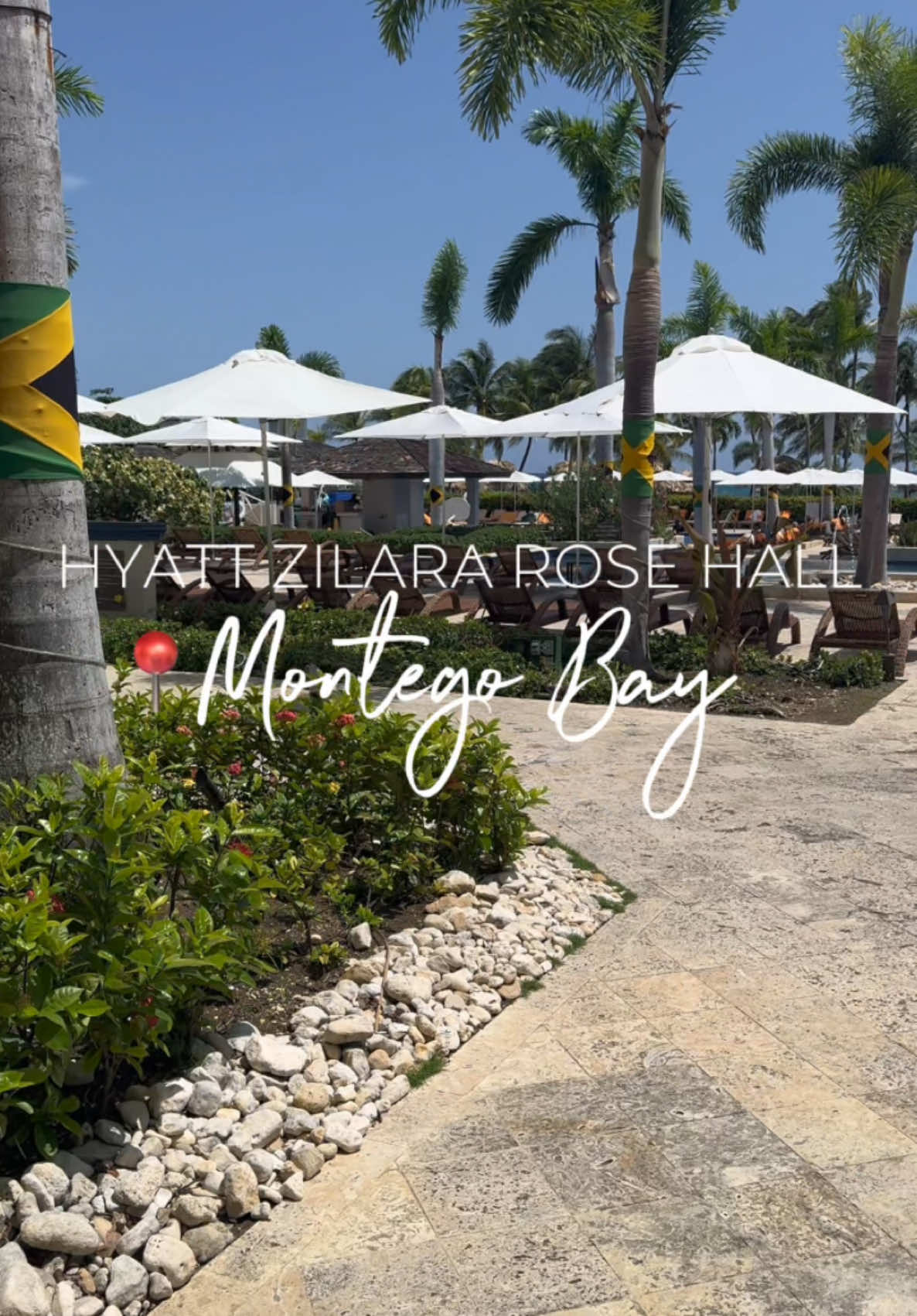 #creatorsearchinsights I stayed at the Hyatt Zilara Rose Hall Montego Bay during my last trip to Jamaica. The food was amazing! Customer Service was top tier 🔥🔥🇯🇲@hyattzilararosehall @Hyatt  #hyattzilararosehall #jamaica #jamaicatiktok #allinclusive #montegobay #microinfluencer #thingstodoinjamaica #blackgirltravel #traveltok #jamaicantiktok 