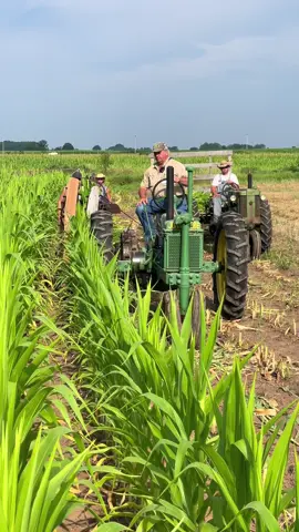 #antiquetractortok #tractor #farmlife #farm #johndeere #corn #silo #wisconsin #foryoupage #harvest #johndeerearmy #fyp 