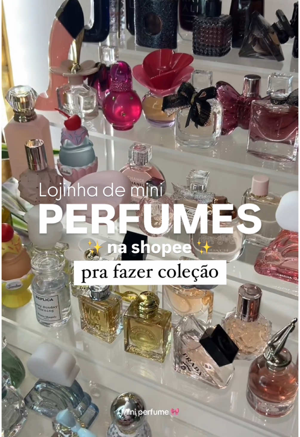 Lojinha de mini perfumes importador na shopee! ✨ #perfume #miniperfume #minibrands #perfumecollection 