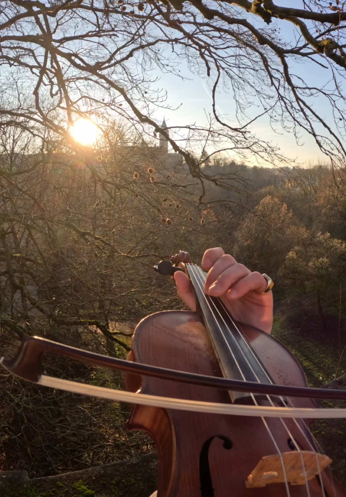 Hotline Bling babyyyy #violin #billieeilish #fyp #sunset #poviolinist 