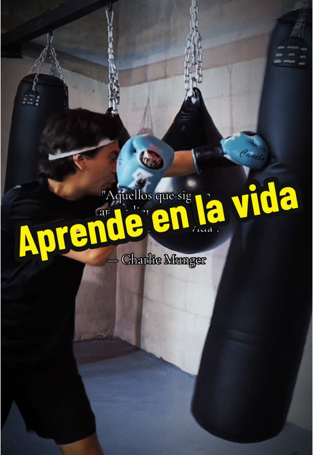 Afilando el jab 🥊📈 • • • • • #boxeo #boxing #boxeomexicano #boxing🥊 #canelo #caneloalvarez #motivacion 