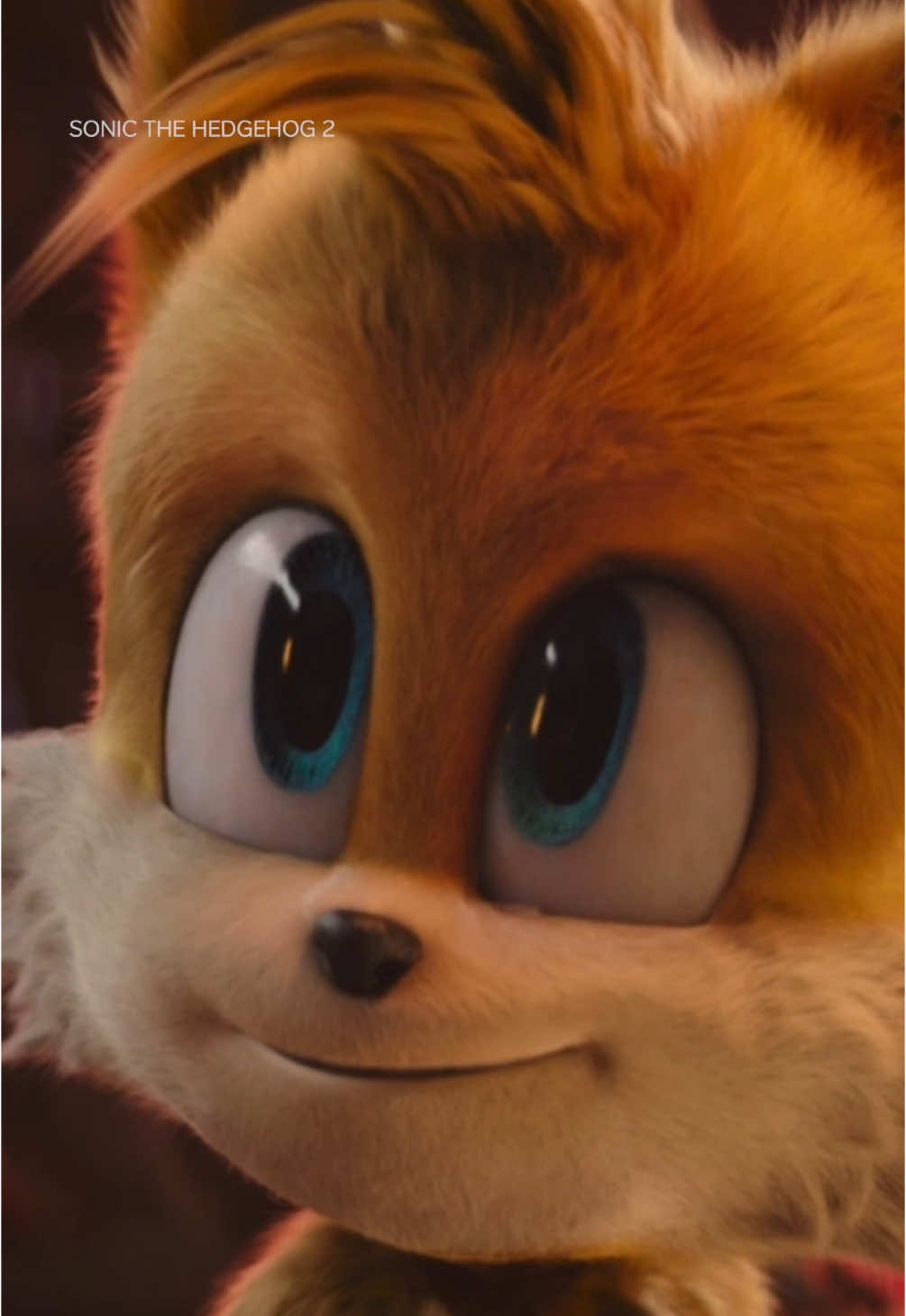 Tails deserves so much more hype #Tails #SonicMovie #Knuckles