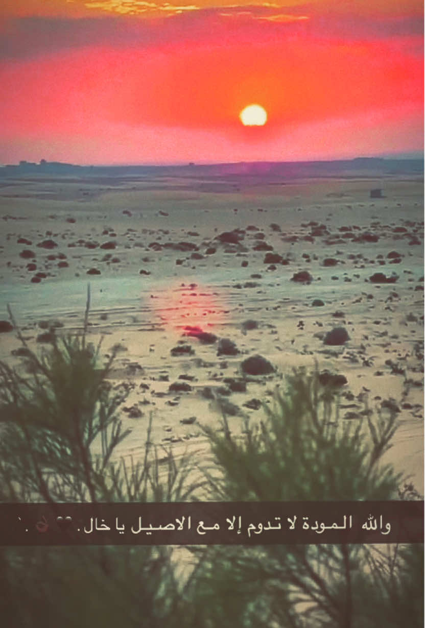 والله المـودة لا تـدوم إلا مـع إلا صـيل يـا خـال . 🖤 👌🏿 . `#اكسبلور #ستوريات #تعلوانستا #01tmx✌🏿 #عبراتكم_الفخمه📿📌 #tiktokindi #01adana #TK #01 #communityfest #livefest2024 #ترند #تيك_توك #teammoment 