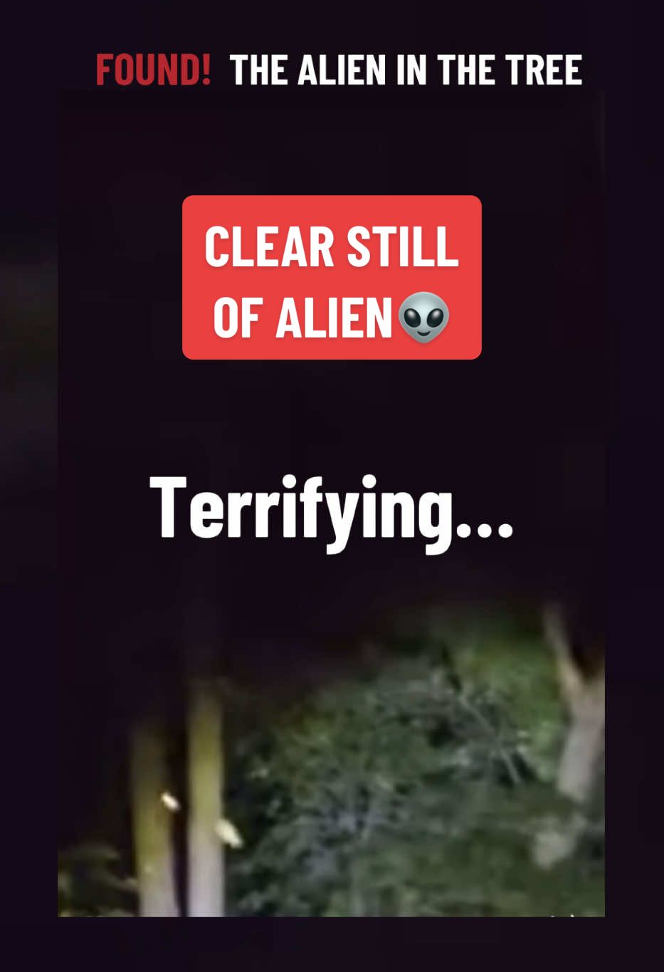 🛸 Alien in the tree has been FOUND… Just having some fun. 😉 But it really is quite disturbing. What do you think was breaking /snapping the tree and terrorizing the man behind his South Carolina home? Cloaked alien? Escaped monkey? Interdimensional Creature? #ufo #uap #breaking #hallucinationhippies #alien #aliens #aliensighting #sc #tree #southcarolina #interdimensional 