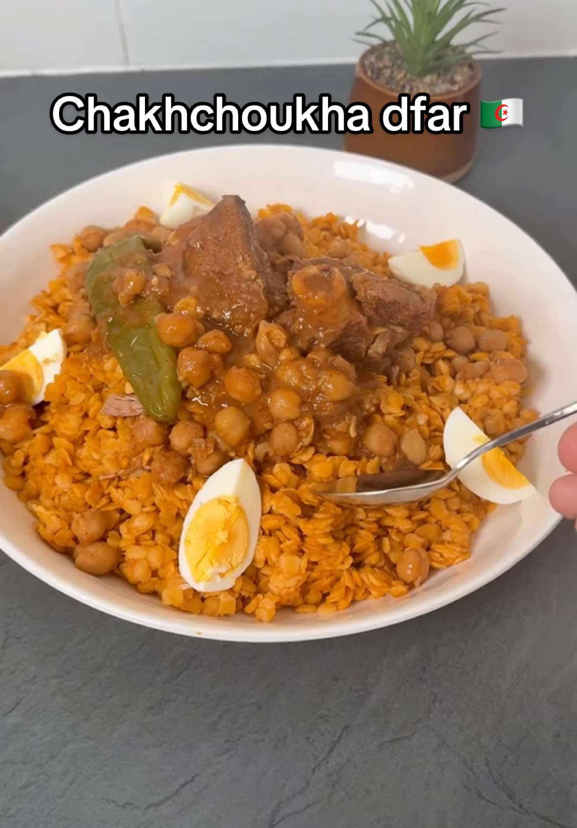 La recette de la Chakhchoukha constantinoise (dfar) 🇩🇿 Ingrédients 👨🏻‍🍳: ⁃ 1 kg de pâte de chakhchoukha dfar ( fait maison ou du commerce, ici Zerda) - 600g de viandes de viande (ici gigot d’agneau) -1 poignée de pois chiche trempés la veille (ou en boite: dans ce cas, à ajouter en fin de cuisson) - 2 oignons  - 3 gousses d’ail - 3 tomates mixées (ou tomates concassées) - 2 C.à.S de tomate concentré - Epices : 1 C.à.S de paprika, 1 C.à.S de ras el hanout, sel et poivre - Huile d’olive - Beurre - 1,5 L d’eau bouillante - Facultatif : piment vert et oeufs durs pour la décoration #recette #recettefacile #recetterapide #recettesimple #recettemaison #algerianfood #chakhchoukha #algerie #cuisinealgerienne #chakhchoukhadfar #algeria