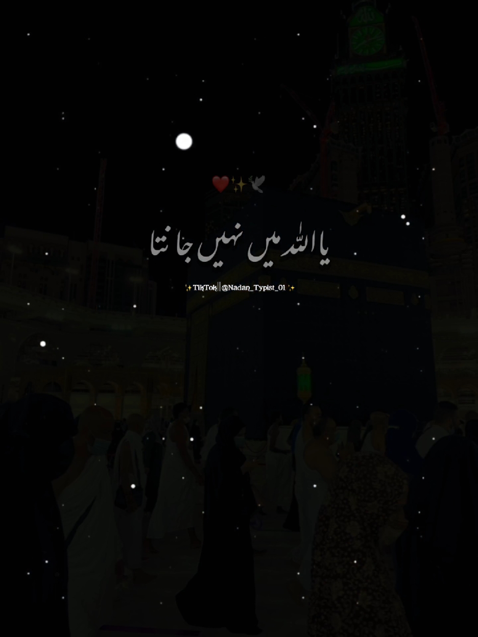 یااللّٰہ میں نہیں جانتا 💔😢𝕙𝕖𝕪 𝕪𝕖 𝕝𝕚𝕟𝕖🥺𝕪𝕒𝕣 𝕕𝕠𝕟'𝕥𝕦𝕟𝕕𝕖𝕣 𝕧𝕚𝕖𝕨𝕤 𝕞𝕪 𝕧𝕚𝕕𝕖𝕠🙏#islamic_video #newtrend #islamic #urdupoetry #onlyforyoupage #viralvideos #growaccount #fyp #tiktokteam #foryoupage #viral  #nadantypist_01 #nadantypist_01 