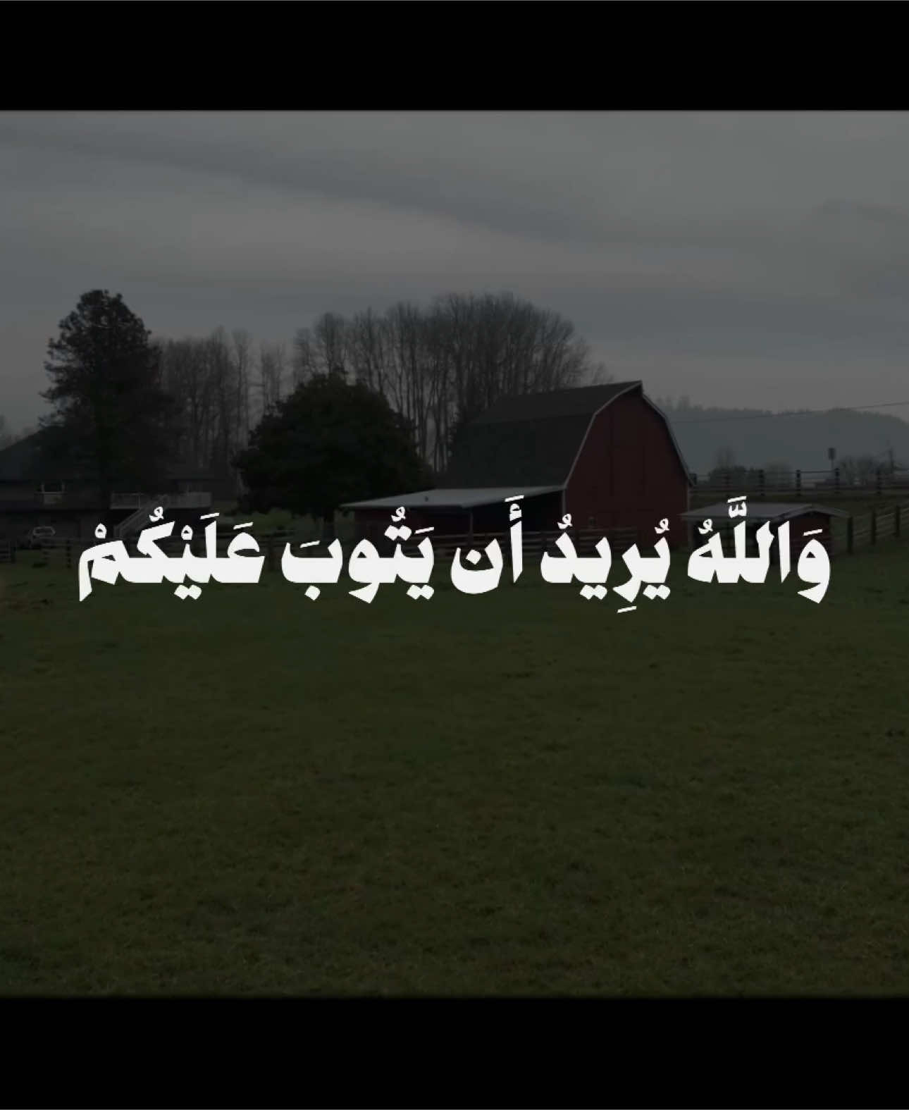 ‏﴿وَاللَّهُ يُرِيدُ أَن يَتُوبَ عَلَيْكُمْ﴾.                                          #علي_جابر #سورة_النساء #quran #fyp 