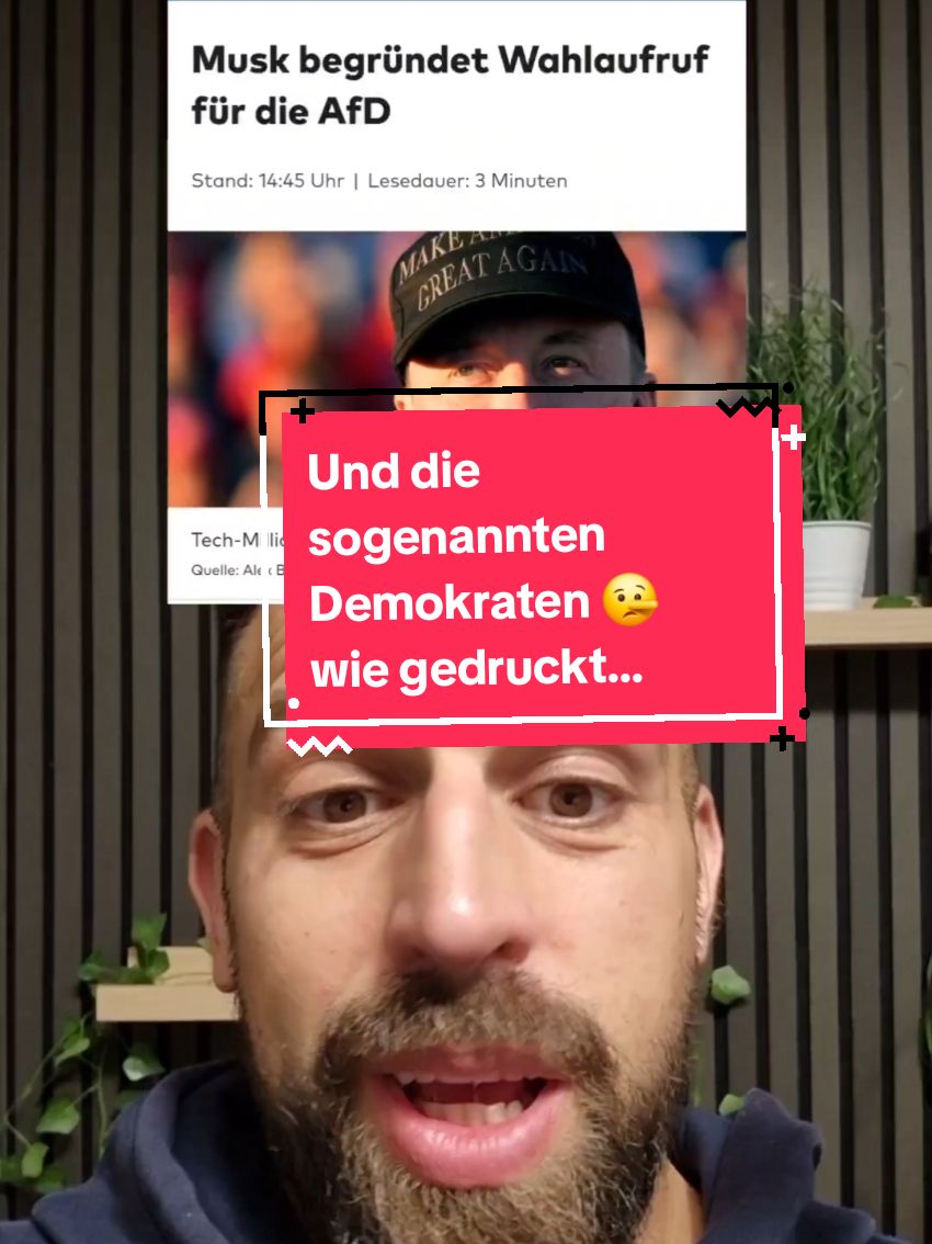 Elon Musk macht sich nochmal für die AfD stark 