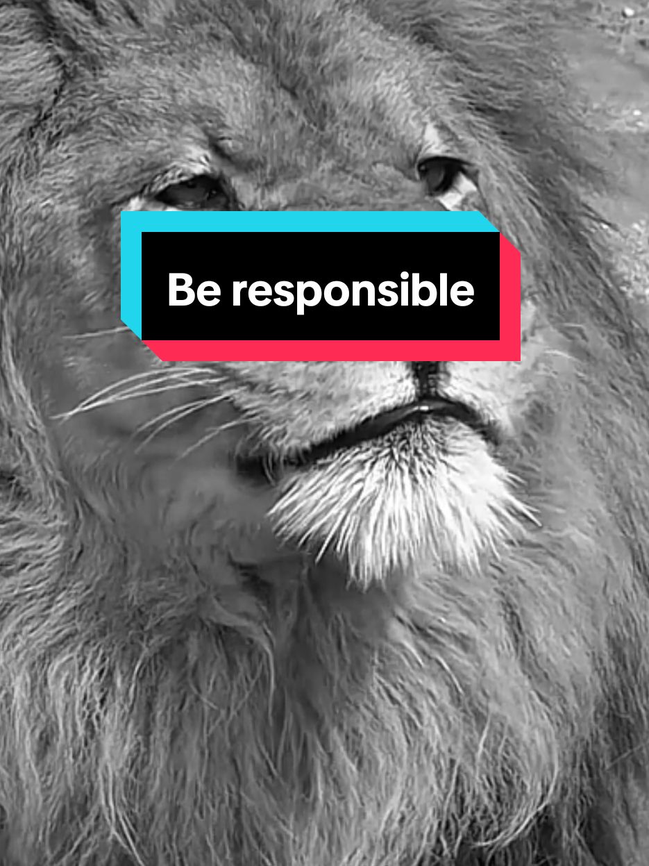 إذا لم تتحمل مسؤولية حياتك ستضل ضحية للآخرين If you don't take responsibility for your life, you will remain a victim of others #اقتباسات #حالات_واتس#تيك_توك #اكسبلور#ترند#كلام_من_ذهب #تحفيز#عبارات #motivation #motivationalquotes #motivationmonday #motivationalvideo #explore #pourtoii #fyp #viral_video #newtrend #treanding#tiktoklongs #السعودية#العراق #الجزائر#المغرب #سوريا#الامارات#الاردن #ليبيا #لبنان #فرنسا #فوريو #الكويت #قطر #البحرين #تونس #france #italy 