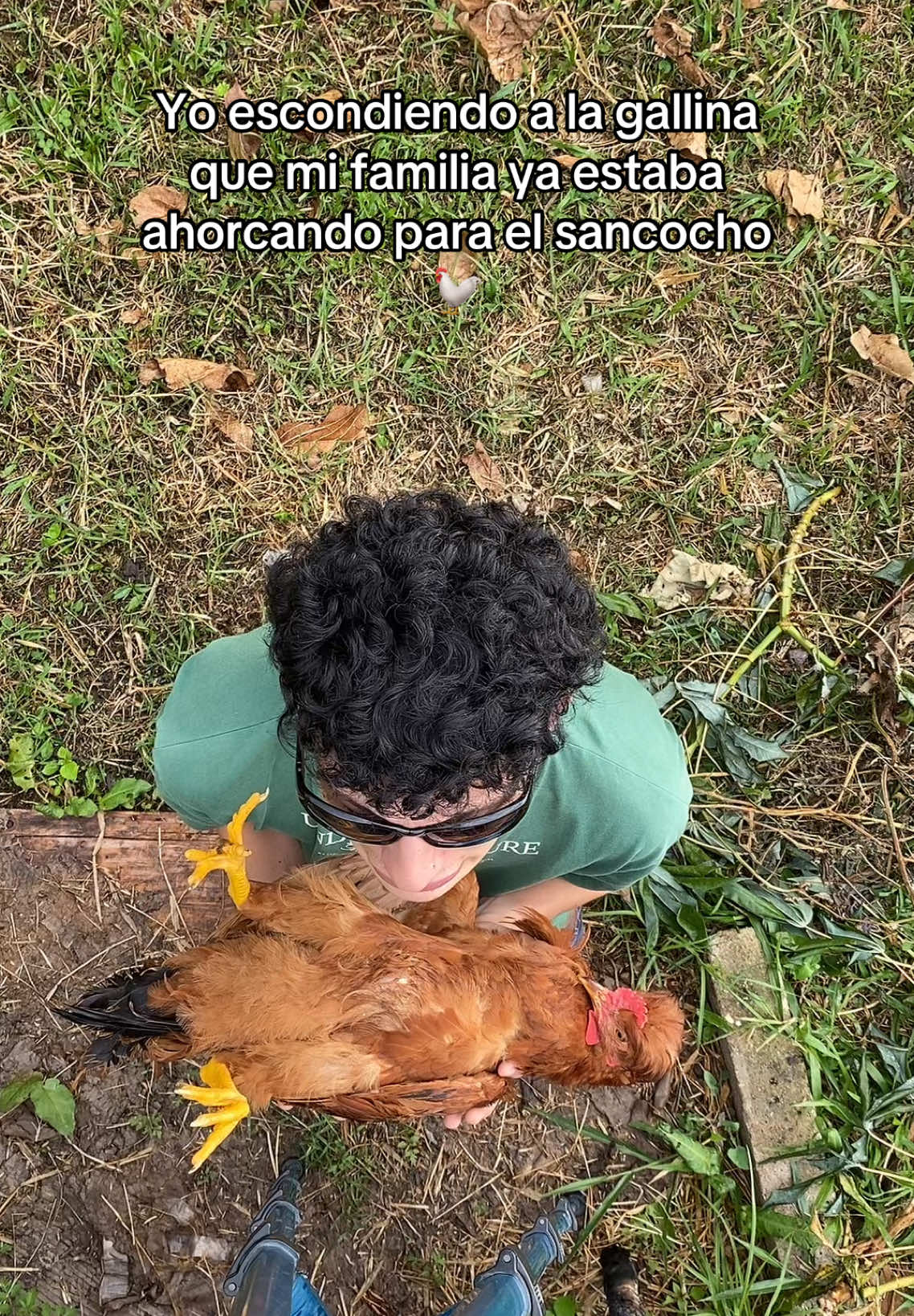 Que falla Gallinita 🥹🕊️  #humor #contenidodehumor #el_parchado #videosderisa #lagallina 