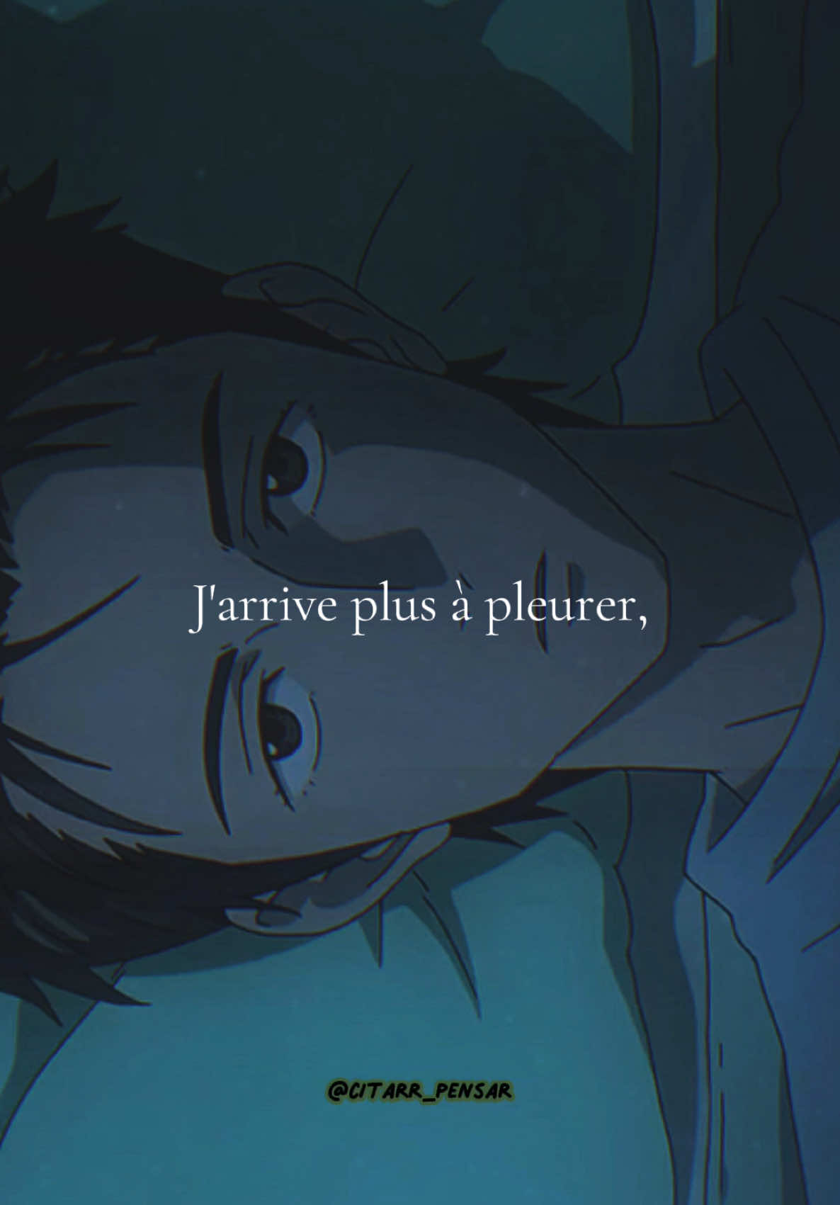 J’ai l’impression d’avoir perdu quelque chose…💔 #parasyte #shinichi #citation #Anime 