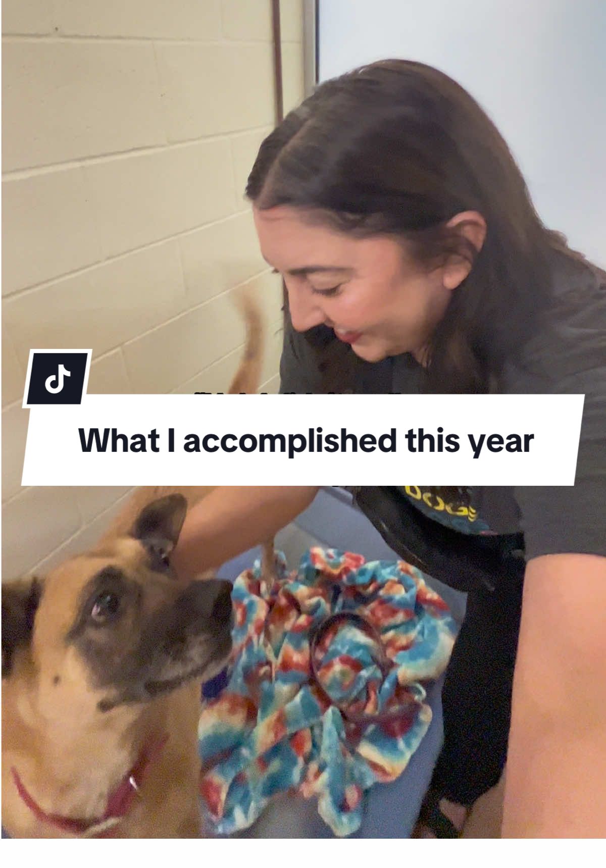 It was a good year. #volunteer #shelterdogsrock #adoptashelterdog #tricitieswa