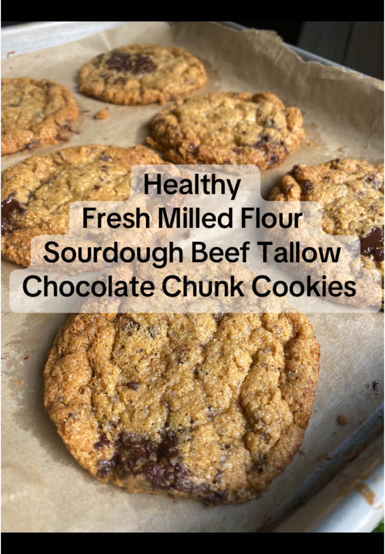 Fresh milled flour sourdough chocolate chunk cookies made with beef tallow!!!  @Sara Jean✌️ thank you for the recipe!!!  #homestead #healthylifestyle #healthyliving #healthylivin #homemade #homemadefood #rfkjr #homemadefoodswithlove❤️ #supportlocal #chocolate #chocolatechip #chocolatechipcookies #cookies #freshmilledflour #sourdough #discard #darkchocolate #tallow #maha