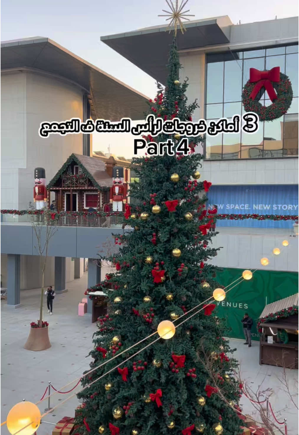 رابع فيديو من سلسلة خروجات رأس السنة 🎄 . . . #explore #reels #christmas #restaurant #park #mall