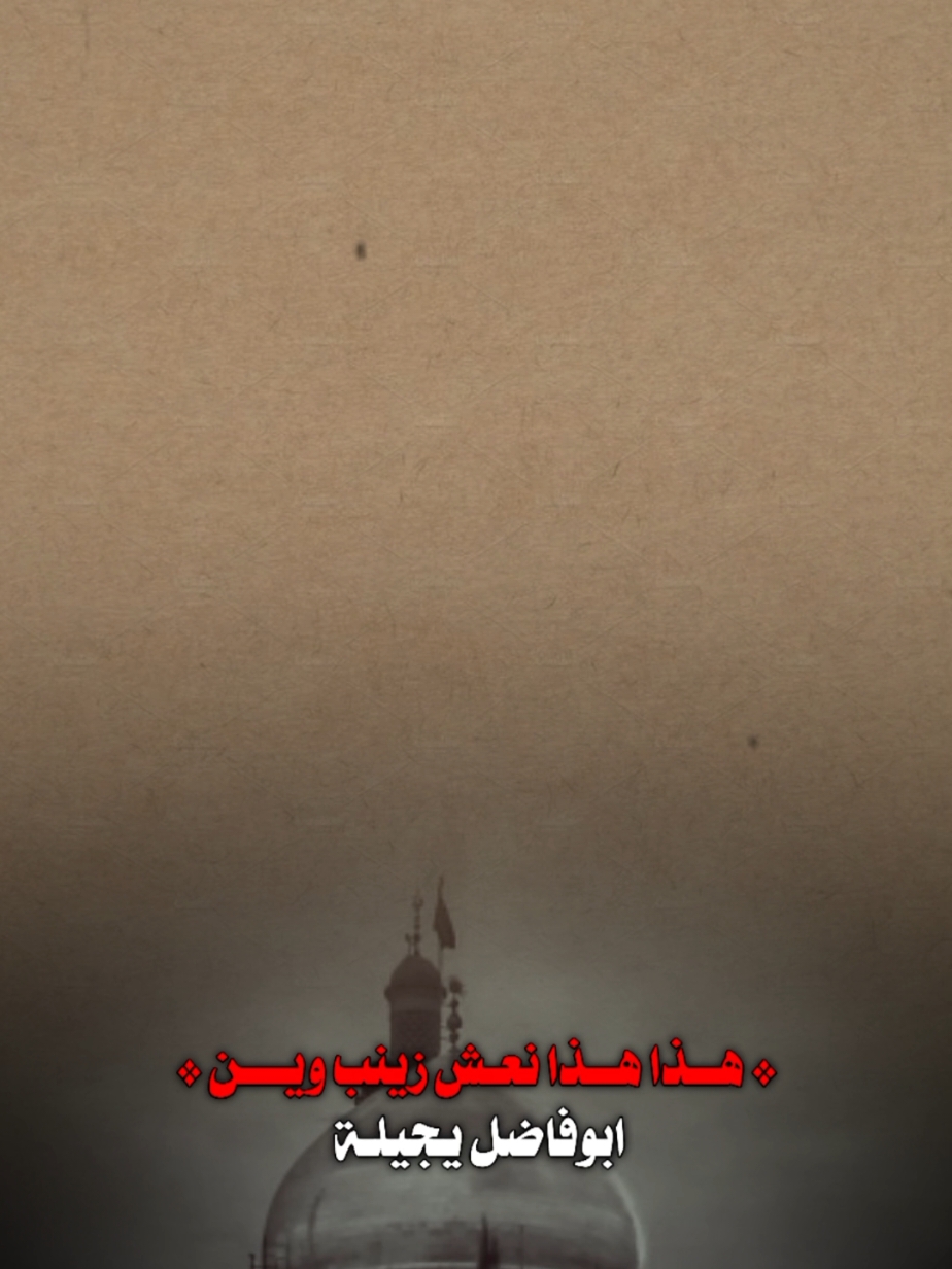 هذا هذا نعش زينب 💔. #15رجب #السيده_زينب  #فاتحة_السيدة_زينب  #يازينب #مجتبى_الكعبي 