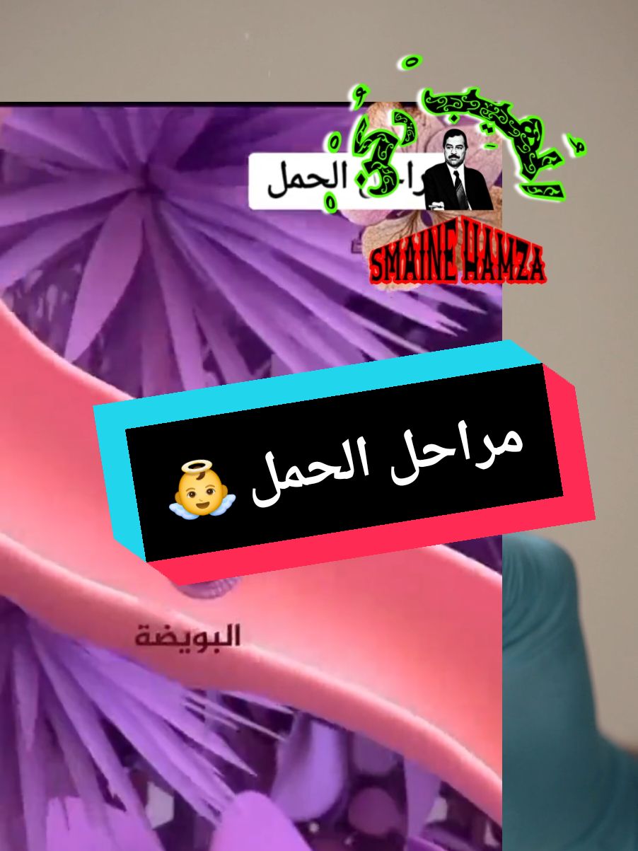 #الحمل #الدورة_الشهرية  @11:11  @med med ‏#viral  #ex ‏#explore  #fyp  #fypシ  #foryou   #fyp  #trend  #india  #foryoupage  #wedding  #algeria  #morocco  #españa‏ #foryoupage❤️❤️ #viral_video #foryoupage #fyp #pregnancy #breastfeeding