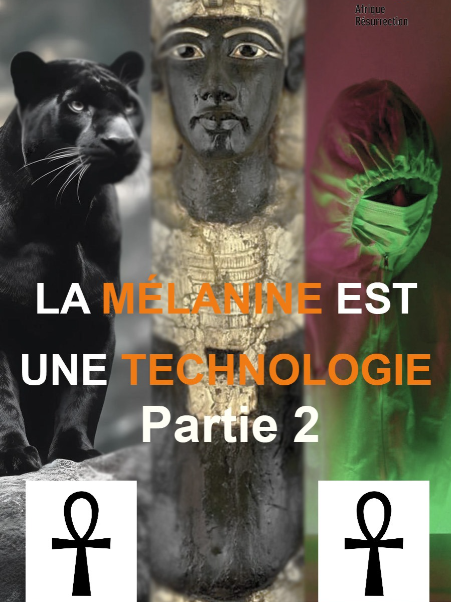 L'ÉQUATION DE LA CROIX ANKH Sankara, Sangaré etc... Ces noms dérivent de l'égyptien ancien et signifient : la vie vient de Dieu. Ils traduisent le lien profond qu'entretient l'Africain avec tout ce qui vit.  Dans cette nouvelle chronique, @theyoroubat nous propose de découvrir le mystère de la vie en décodant un symbole africain plurimillénaire : la croix ankh...