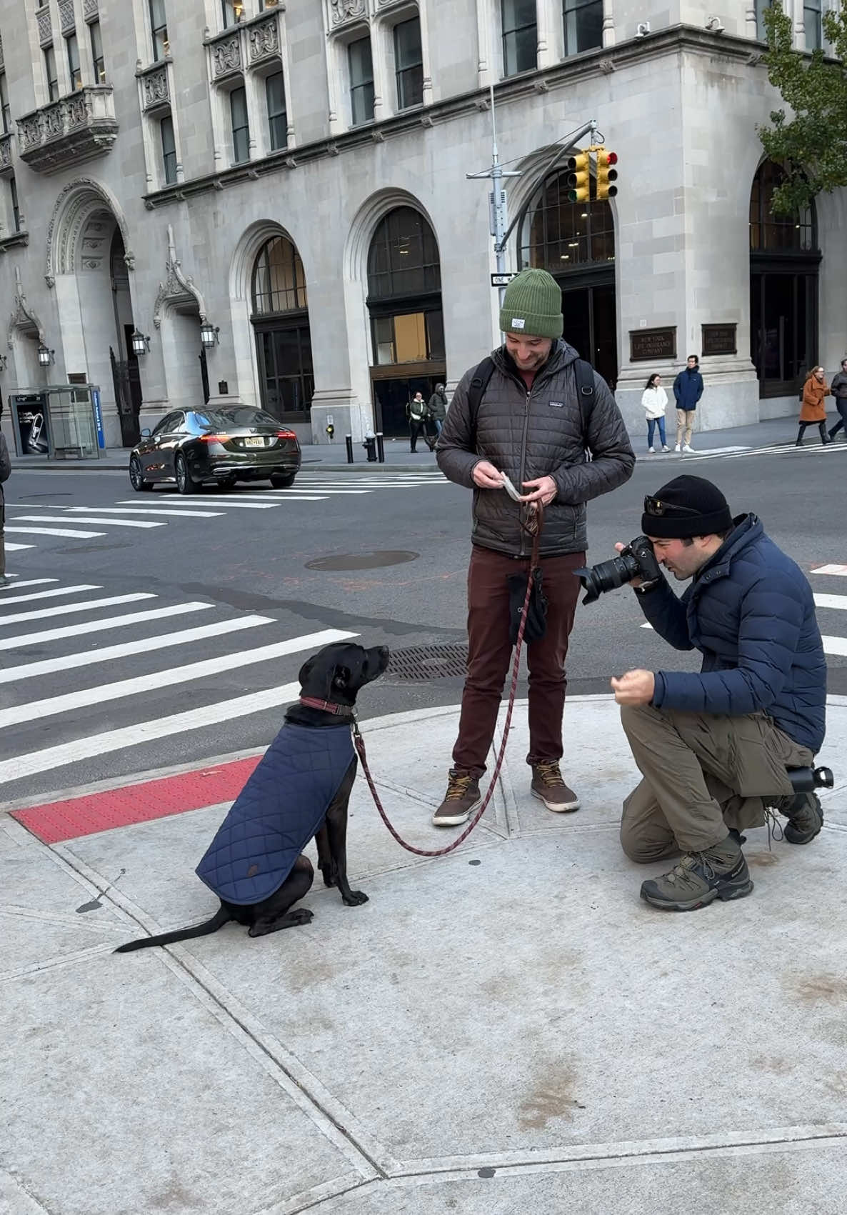 Riggins the singing clown #dogphotographer #dogs #nyc 