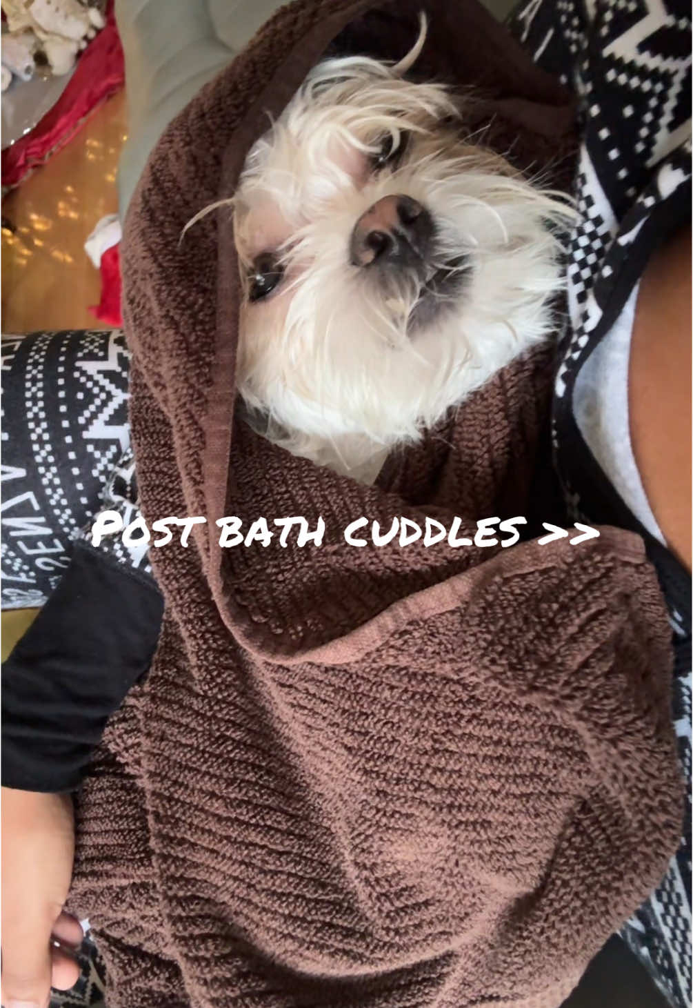 Could be here for hours 🥺#puppy #dogsoftiktok #puppylove #cuddles #cutedog #cute #baby #fyp #viral #fypp #fypシ゚ #featureme 