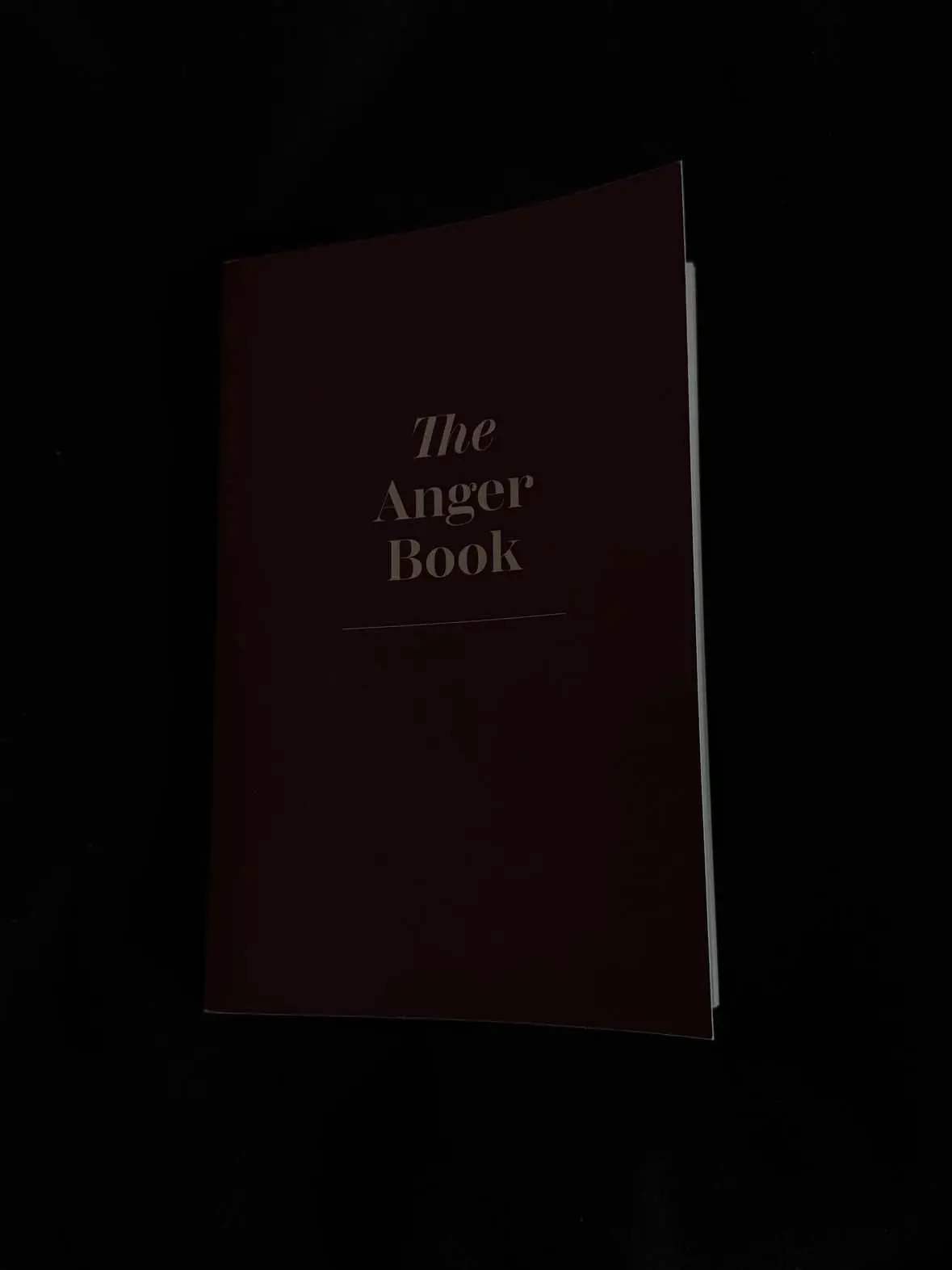 we can't force people to choose us, no matter how much we want them to #unrequitedlove #wantingtobeloved #theangerbook #journaling #journalprompts #MentalHealth 