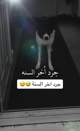 #سوريا_تركيا_العراق_السعودية_الكويت #يذهب_الجميل_ويأتي_الاجمل💞 #اكسبلور #ستوريات #الحمدلله_دائماً_وابداً #😂😂😂 #