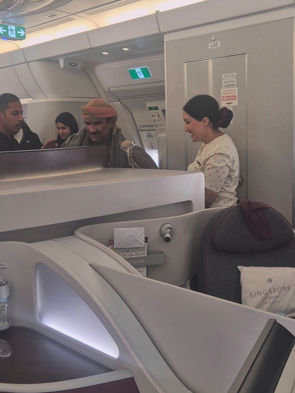 these dudes brought eagles to business class for my most recent 8 hr flight 😂😂 #what #travel #pets #why #qatar #cool #travel #animal #animals #legal #adventure #bird #birds #birdsoftiktok #wtf #funnymoments 