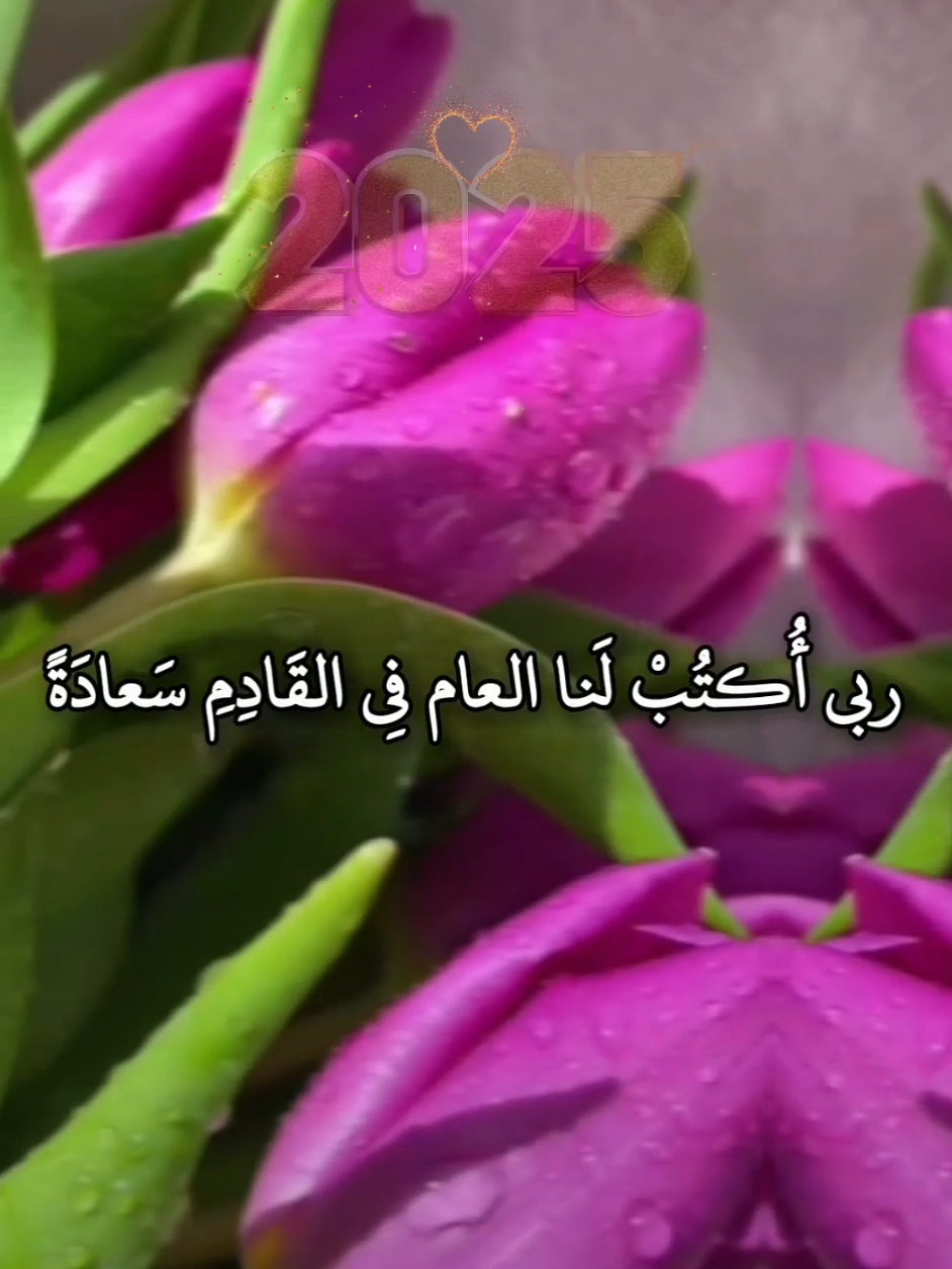 #دعاء_العام_الجديد #سنة_جديدة #2025 #ربي اكتب لنا في #العام_الجديد  ❤️ سعادة تغير بها أقدارنا  الي أجملها #يارب #اللهم_امين #سنة #جديدة #2025 #❤️يارب💕 #العام_الجديد #خير #تهنئة  #تهنئة_العام_الجديد #تهنئة #كل_عام_وانتم_بخير #سنة_جديدة #2025 #دعاء_السنة_الجديدةة #fyp #viral #fyppp #fyppp #سنة_جديدة  #foryoupage #fyp #muslim #❤️ #2025❤️ #2025future #🤲 #دعاء_جميل #دعاء_يريح_القلوب #يارب🤲 #يارب🤲 #خير #محبة #سلام 