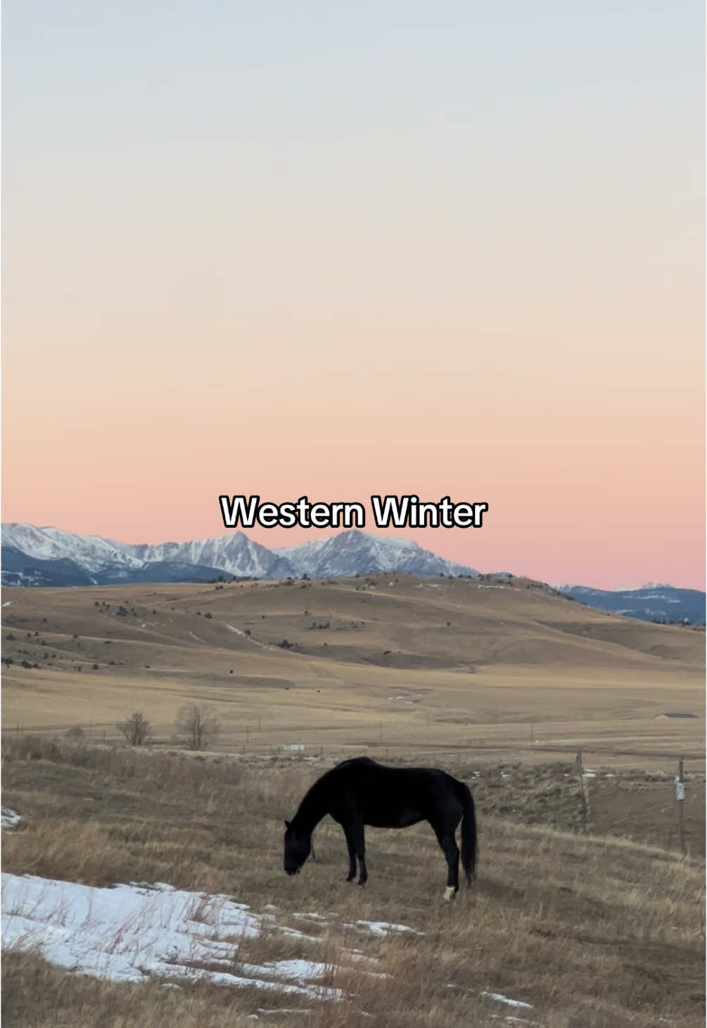 Cold but worth it #ranch #ranchlife #horse #western #montana #cowboy #sunset #dog